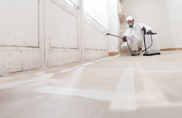 Forensic Mold Investigation in Lockney, TX