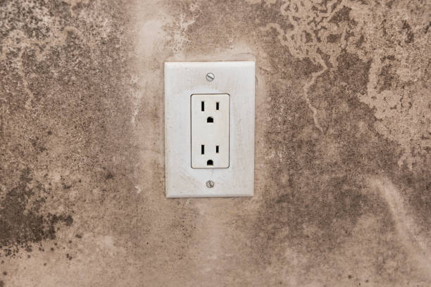 Best Post-Construction Mold Inspection  in Lockney, TX