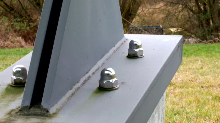 Best Commercial Mold Inspection  in Lockney, TX
